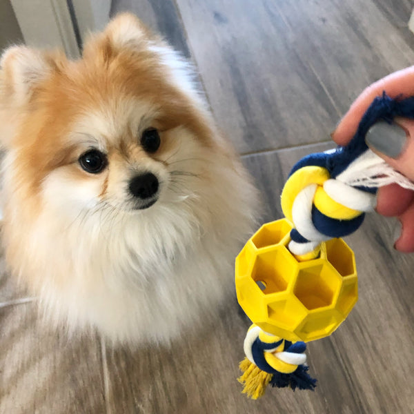 Rubber Soccer Ball Chew Toy with Tug Rope - Har | Le Dogs