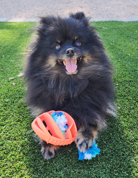 Rubber Football Dog Chew Toy with Tug Rope -- Aggressive Dog Chewers -- Toys for Dogs of All Sizes -- Coral - Harle Dogs