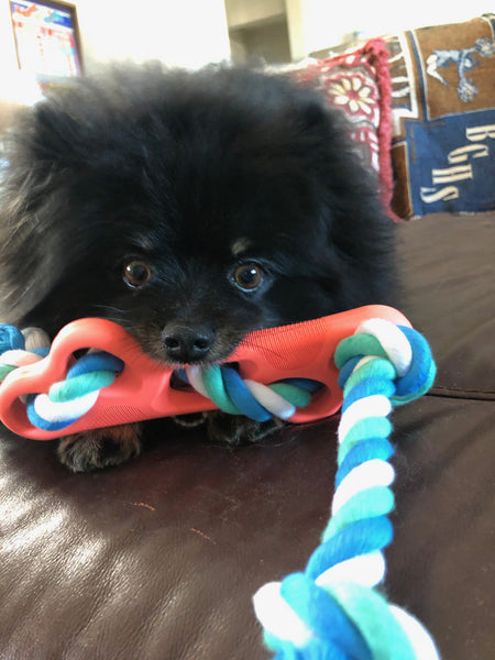 Rubber Bone Chew Toy with Tug Rope - Har | Le Dogs